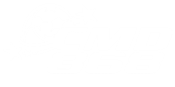 에이스넷 logo